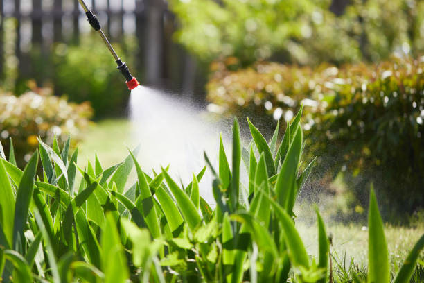 Tamper-Resistant Bait Stations for Rodents in Cedar Grove