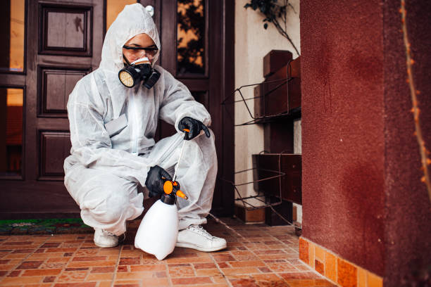 Attic and Crawl Space Rodent Treatment in Cedar Grove