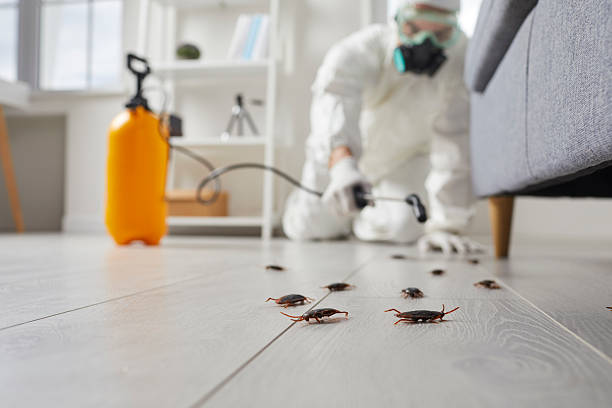 Commercial Rodent Management in Cedar Grove